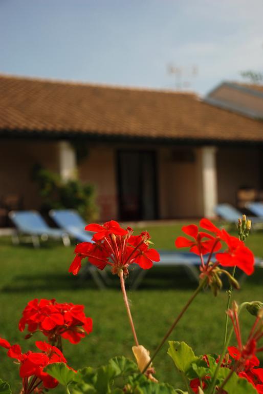 Lefkes Apartments Ахарави Номер фото